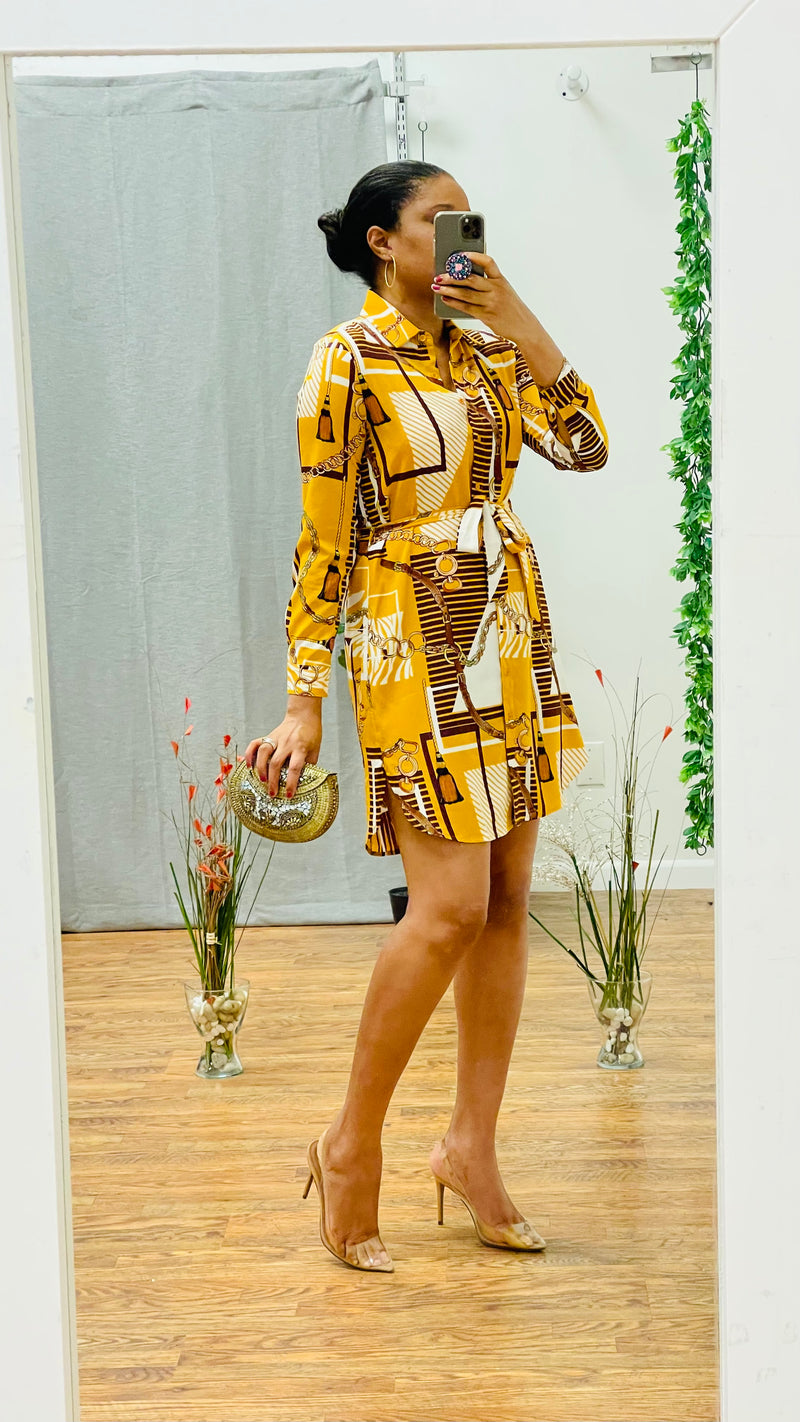 Leann printed shirt dress