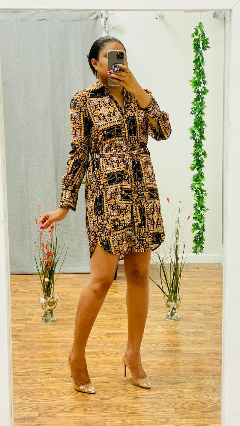 Dani printed shirt dress